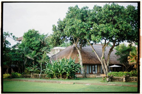 Quels sont les meilleurs spots pour observer les manchots en Antarctique?