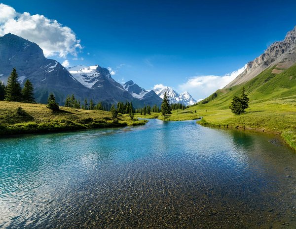 Comment organiser des vacances en Toscane avec des cours de cuisine italienne et des randonnées guidées en campagne?