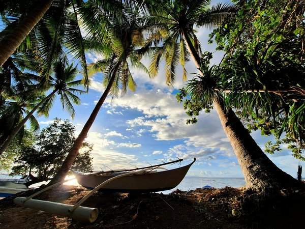 Comment découvrir les traditions de la fabrication de saké en Corée du Sud?